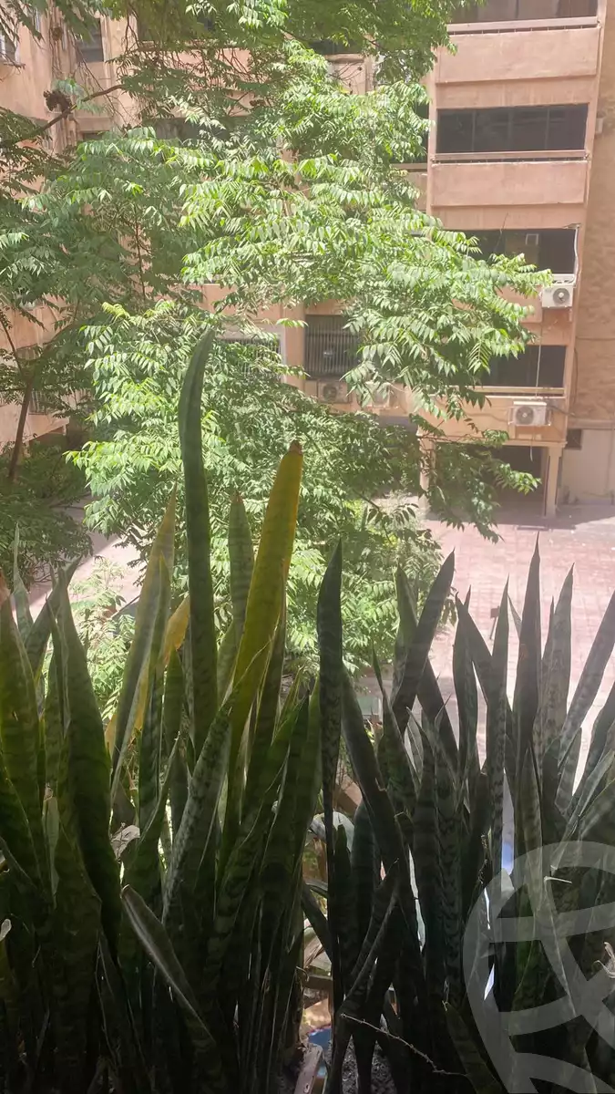 https://aqarmap.com.eg/en/listing/6293838-for-sale-cairo-heliopolis-sheraton-misr-lel-taamer-buildings