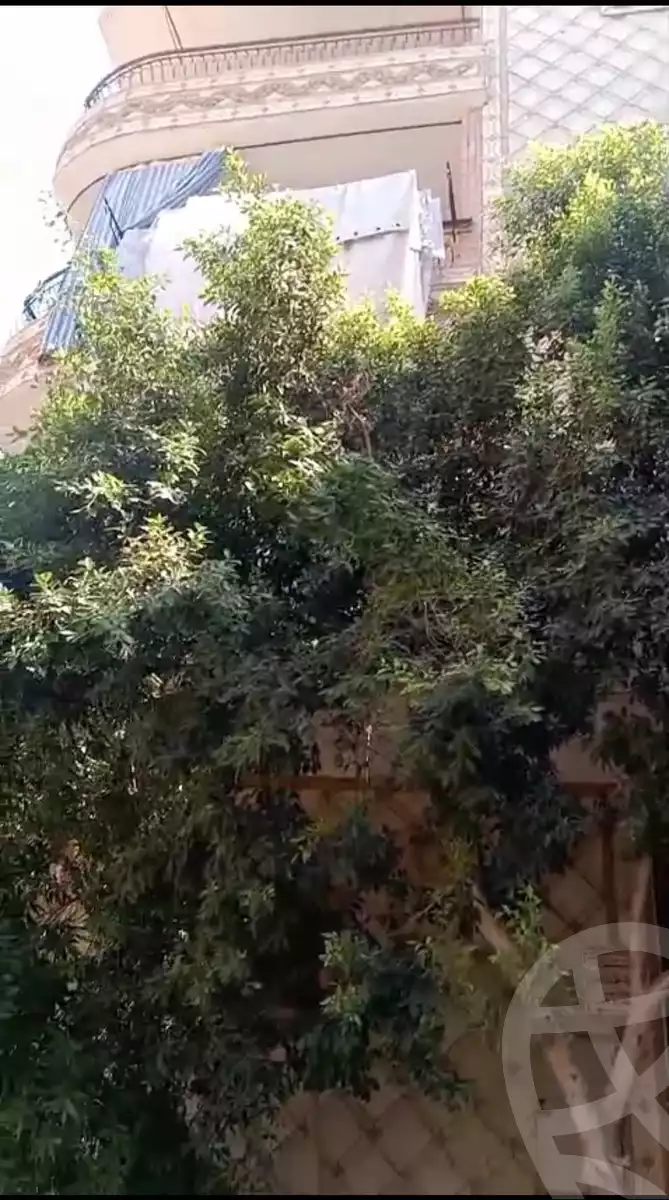 https://aqarmap.com.eg/ar/listing/6294528-for-sale-cairo-el-haram-el-maryotya-ragab-el-shorbagy-st