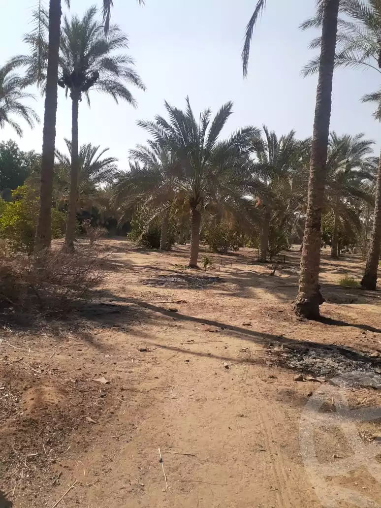 https://aqarmap.com.eg/en/listing/6003861-for-sale-sharqia-10th-of-ramadan-al-hay-al-thany-ashar