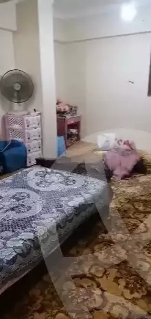 https://aqarmap.com.eg/en/listing/6299209-for-rent-alexandria-smouha-el-nasr-st