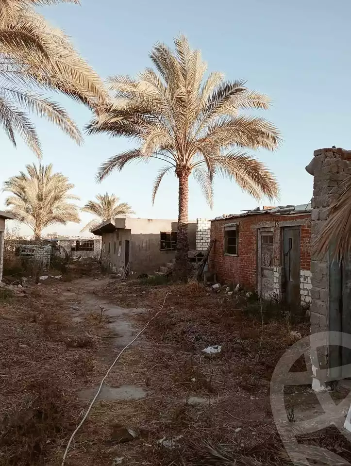 https://aqarmap.com.eg/ar/listing/6299368-for-sale-alexandria-bys