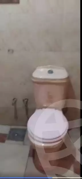 https://aqarmap.com.eg/en/listing/6299506-for-sale-cairo-ain-shams-ahmed-esmat-st