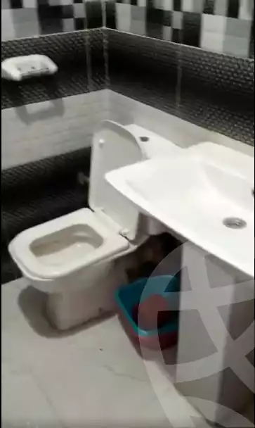 https://aqarmap.com.eg/ar/listing/6301655-for-sale-alexandria-mntq-fr-y-blskndry-el-awayed