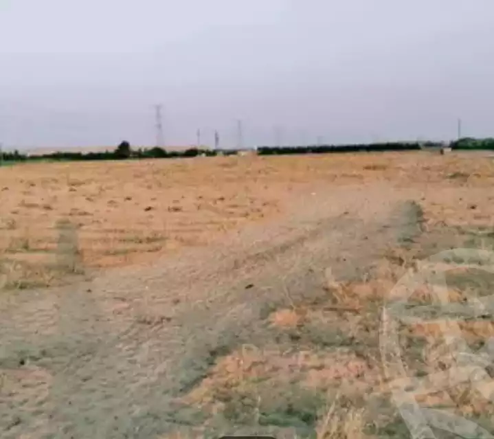 https://aqarmap.com.eg/ar/listing/6302077-for-sale-beheira-wadi-el-natrun
