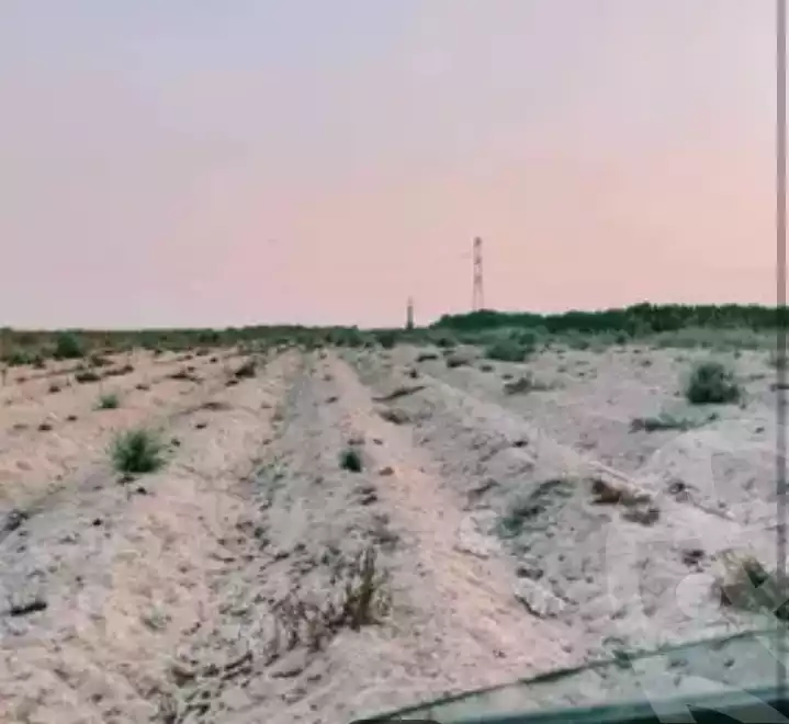 https://aqarmap.com.eg/ar/listing/6302077-for-sale-beheira-wadi-el-natrun