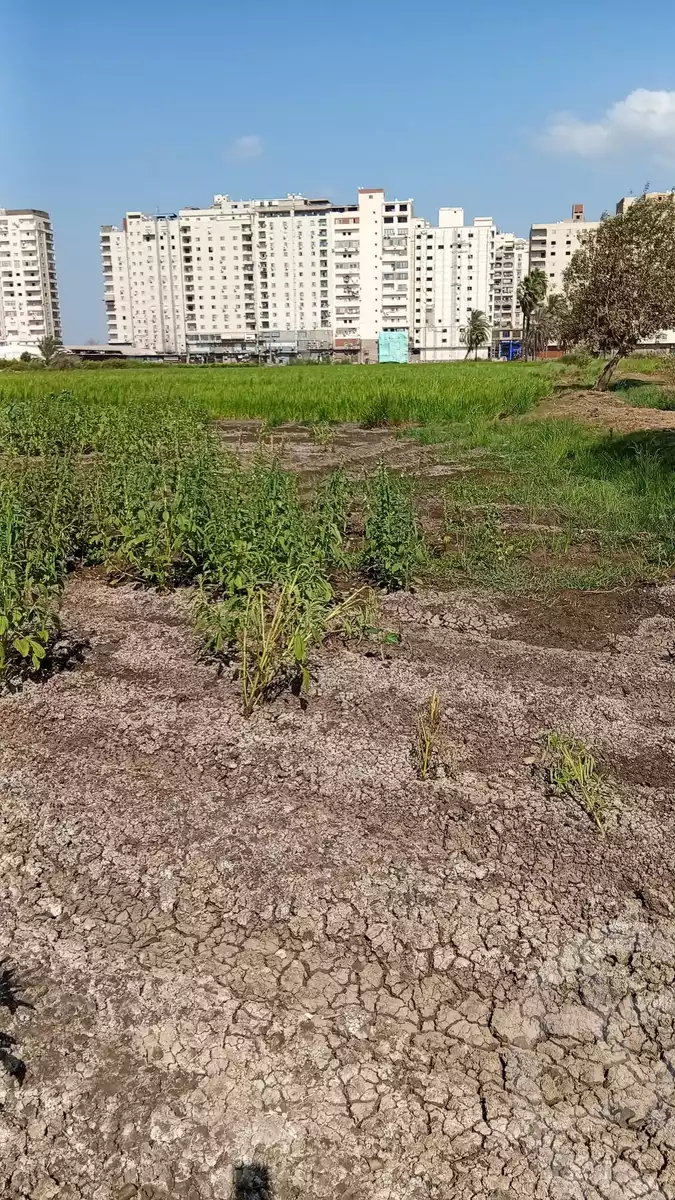 https://aqarmap.com.eg/en/listing/6304757-for-sale-gharbia-tanta-lstd