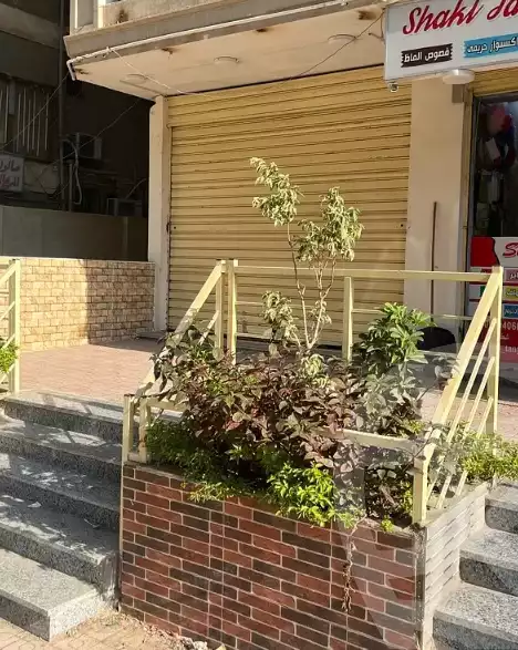 https://aqarmap.com.eg/en/listing/6306407-for-rent-cairo-nasr-city