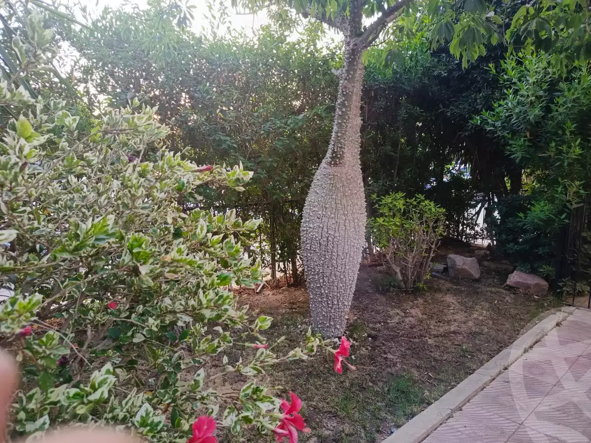 https://aqarmap.com.eg/en/listing/6313520-for-sale-cairo-el-sheikh-zayed-city-compounds-beverly-hills
