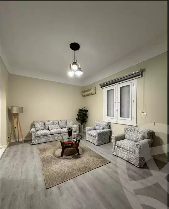 https://aqarmap.com.eg/en/listing/6317393-for-rent-cairo-downtown
