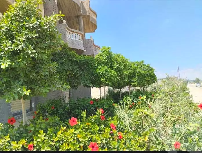 https://aqarmap.com.eg/en/listing/6320090-for-sale-alexandria-el-amreya-margham