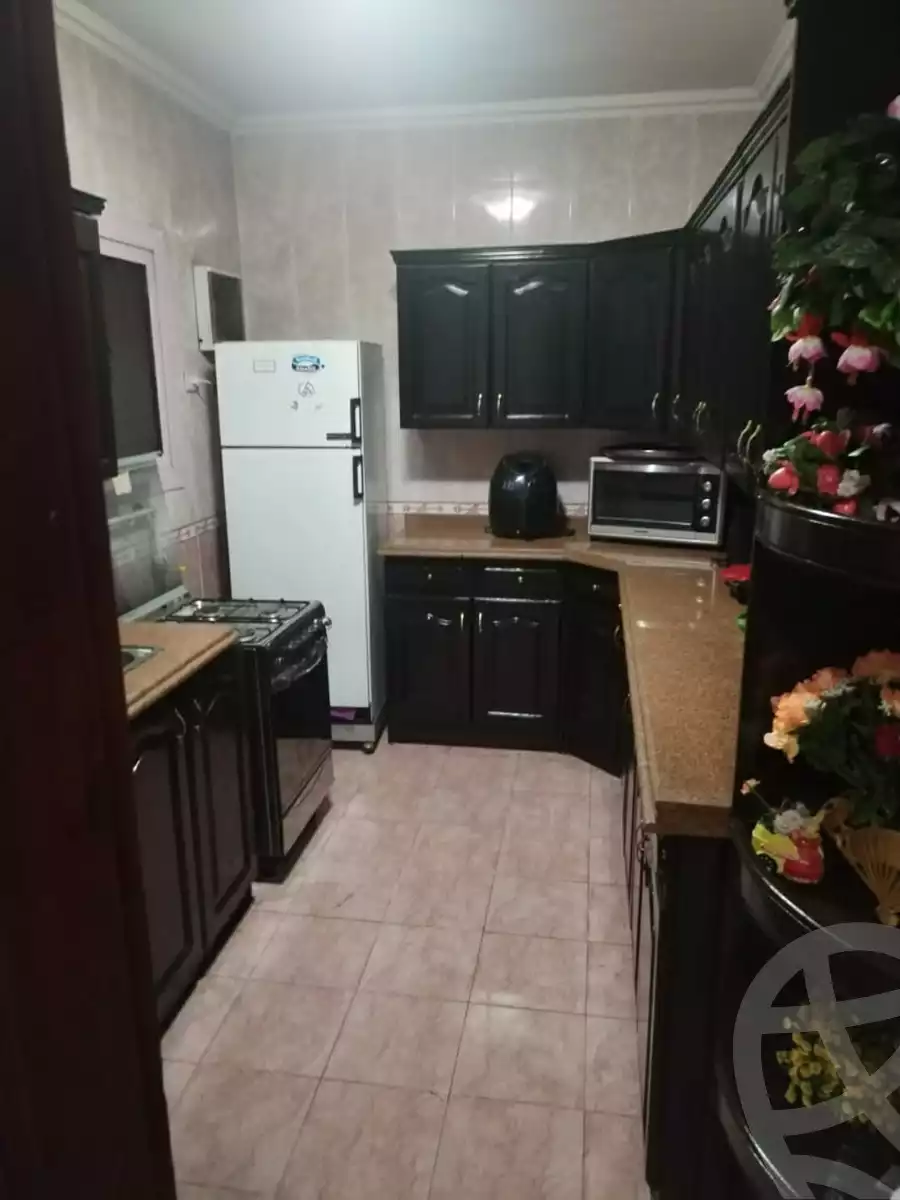 https://aqarmap.com.eg/en/listing/6320507-for-rent-cairo-el-maadi-compounds-maadi-grand-city
