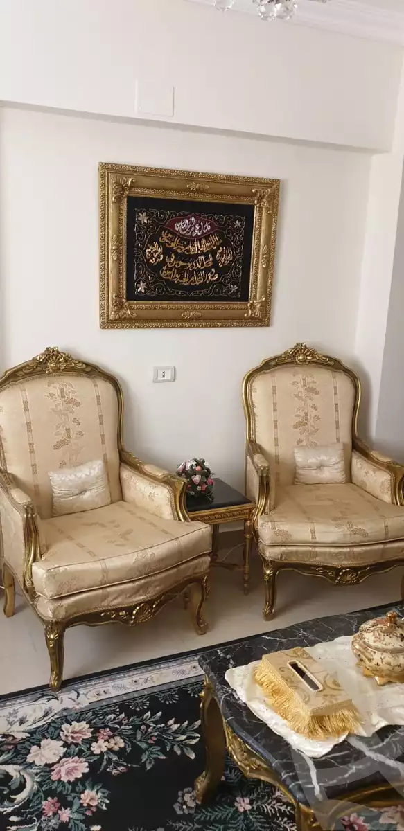 https://aqarmap.com.eg/en/listing/6320507-for-rent-cairo-el-maadi-compounds-maadi-grand-city