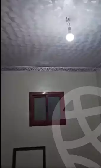 https://aqarmap.com.eg/en/listing/6322825-for-sale-qalyubia-el-khsos