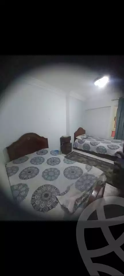 https://aqarmap.com.eg/en/listing/6323845-for-rent-alexandria-el-mandara-tryq-ljysh