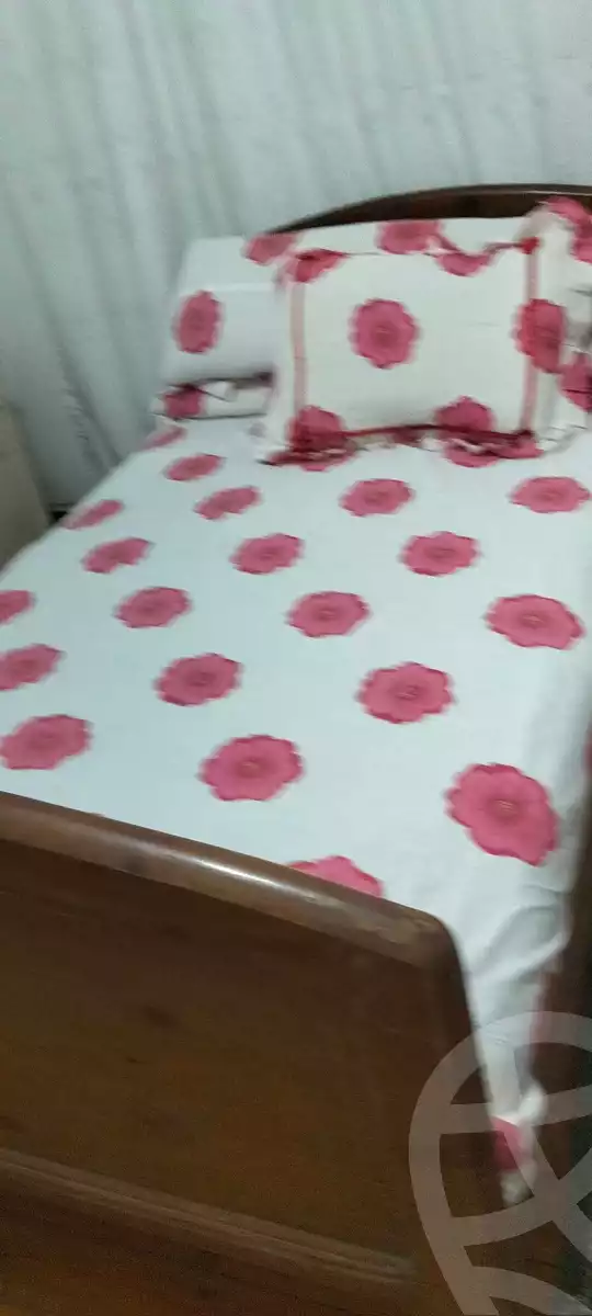 https://aqarmap.com.eg/en/listing/6325731-for-rent-cairo-ain-shams-el-naam