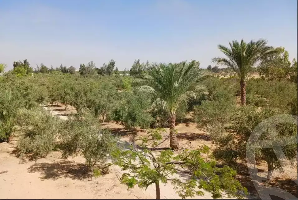 https://aqarmap.com.eg/en/listing/6327359-for-sale-suez-el-ganain-shandoura-village