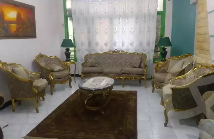https://aqarmap.com.eg/en/listing/6336470-for-sale-cairo-el-haram-el-maryotya