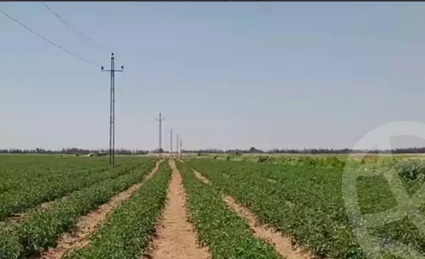 https://aqarmap.com.eg/ar/listing/6339282-for-sale-beheira-wadi-el-natrun