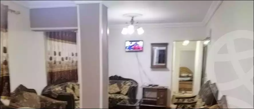 https://aqarmap.com.eg/en/listing/6346907-for-rent-alexandria-miami-khld-bn-lwlyd
