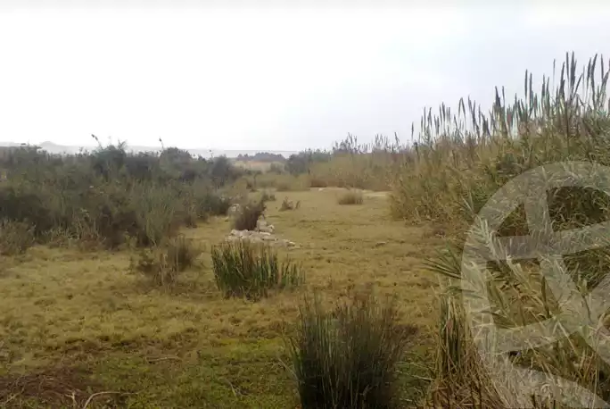 https://aqarmap.com.eg/ar/listing/6348391-for-sale-cairo-ljyz-el-saf-ghammaza-el-kobra-village