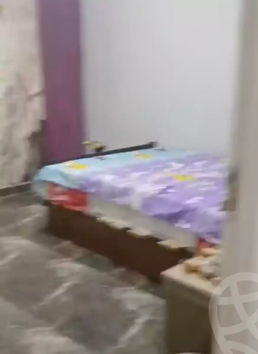 https://aqarmap.com.eg/ar/listing/6355187-for-sale-alexandria-l-jmy-el-hanouvel