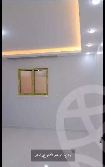 https://aqarmap.com.eg/en/listing/6355974-for-sale-cairo-faisal-el-lebeny