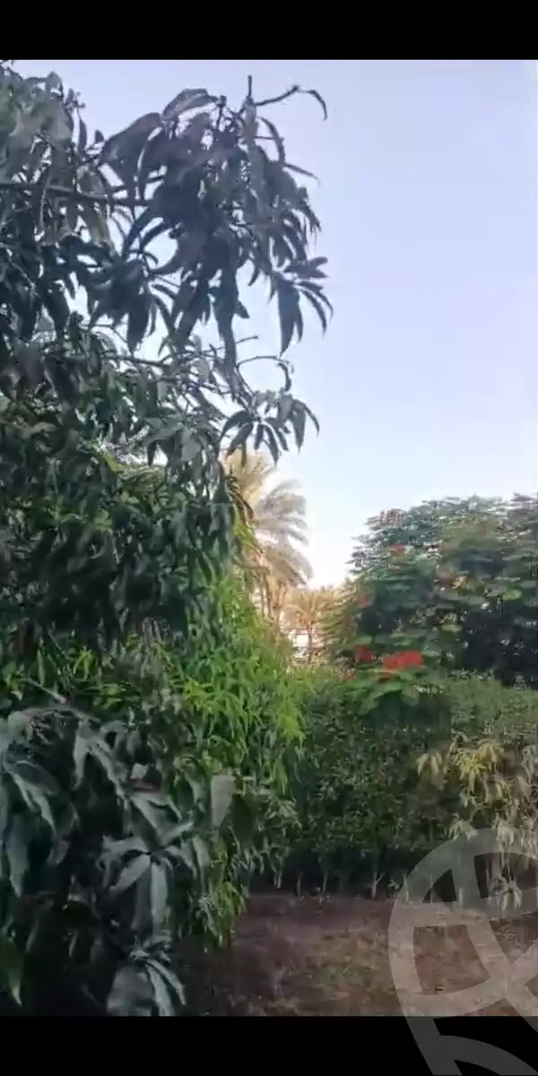https://aqarmap.com.eg/ar/listing/6359215-for-sale-cairo-el-mansuriyyah-el-saliba