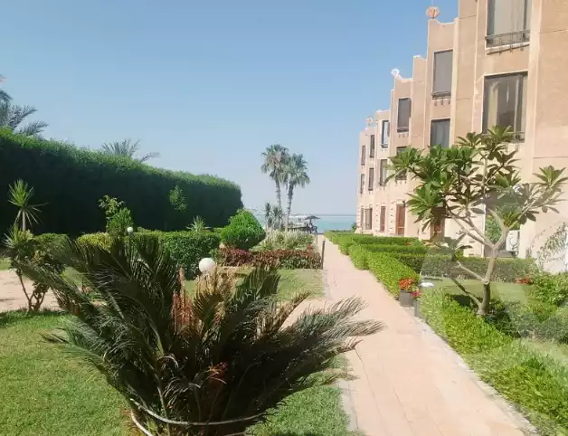 https://aqarmap.com.eg/ar/listing/6360750-for-rent-ismailia-fayed