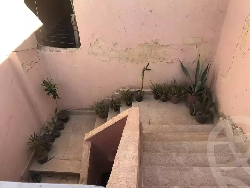 https://aqarmap.com.eg/en/listing/6363229-for-rent-cairo-el-haram-shareaa-el-talateny