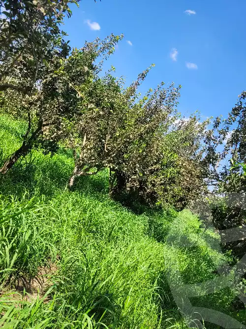 https://aqarmap.com.eg/ar/listing/6364848-for-sale-monufia-el-bagour-el-bagour-city