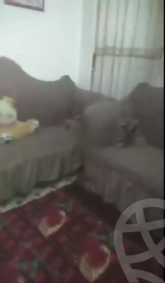 https://aqarmap.com.eg/ar/listing/6372211-for-sale-qalyubia-shubra-el-khaima-byjm