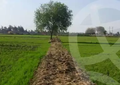 https://aqarmap.com.eg/en/listing/6379543-for-sale-new-valley-kharga-oasis-hai-el-zhour