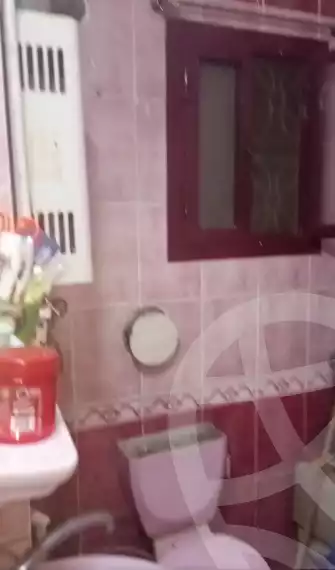 https://aqarmap.com.eg/en/listing/6387449-for-sale-cairo-ain-shams-ahmed-esmat-st