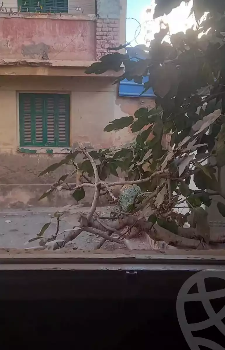 https://aqarmap.com.eg/ar/listing/6396163-for-rent-alexandria-sporting-abou-quer-st