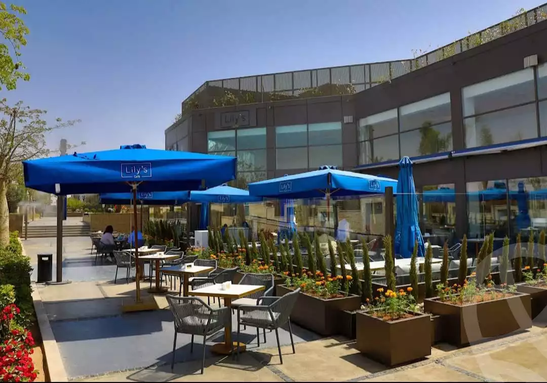 https://aqarmap.com.eg/en/listing/6402890-for-rent-cairo-el-sheikh-zayed-city-compounds-walk-of-cairo-mall