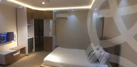 https://aqarmap.com.eg/en/listing/6404962-for-rent-cairo-manial