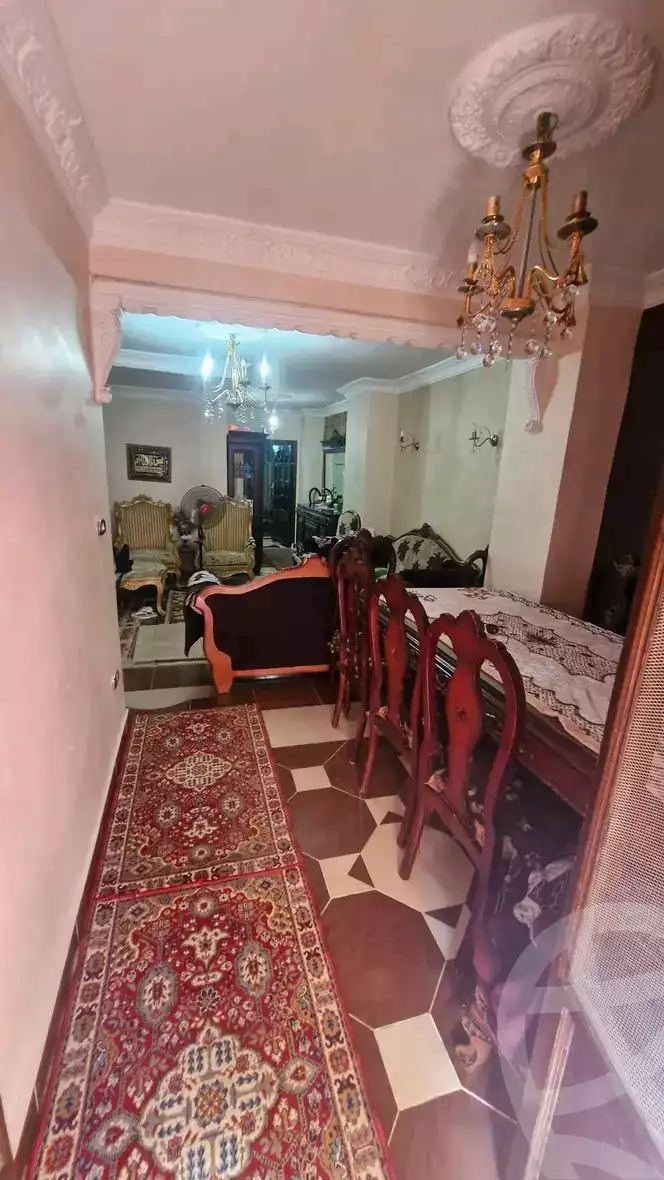 https://aqarmap.com.eg/en/listing/6406263-for-sale-alexandria-bakoos-cinema-layla-st