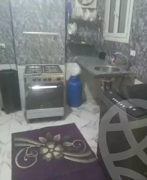 https://aqarmap.com.eg/en/listing/6410822-for-rent-cairo-heliopolis-gesr-elsuez