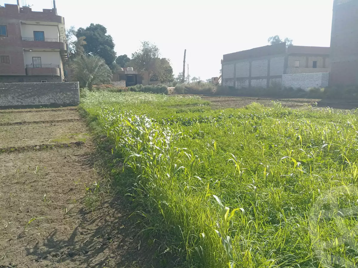 https://aqarmap.com.eg/ar/listing/6411054-for-sale-asyut-manfalut-manfalut