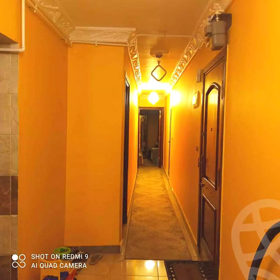https://aqarmap.com.eg/ar/listing/6414036-for-sale-alexandria-l-jmy-lbytsh-al-samalehy-2-st
