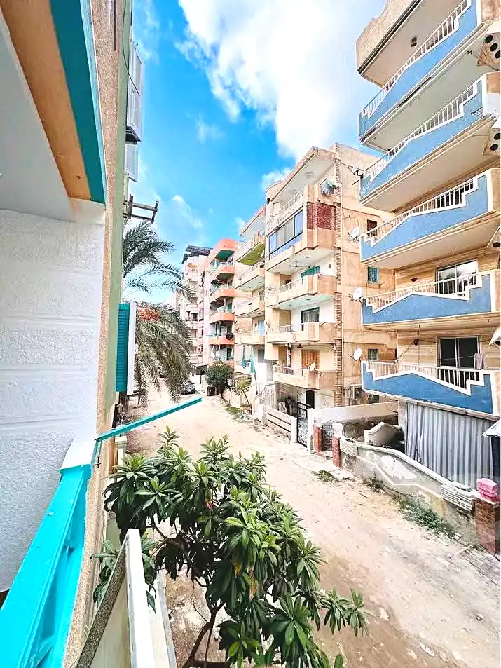 https://aqarmap.com.eg/en/listing/6452445-for-sale-alexandria-l-jmy-shataa-el-nakheel