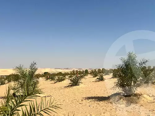 https://aqarmap.com.eg/en/listing/6446200-for-sale-marsa-matruh-siwa-oasis-wahet-siwaa-city