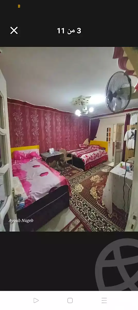 https://aqarmap.com.eg/en/listing/6456302-for-sale-alexandria-l-jmy-lbytsh-qased-kareem-st