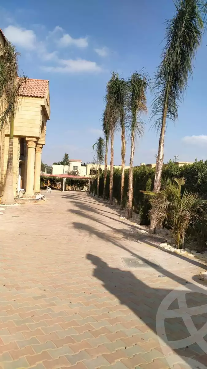 https://aqarmap.com.eg/en/listing/6495769-for-sale-cairo-el-sheikh-zayed-city-lshykh-zyd-ljdyd-wdy-lnkhyl