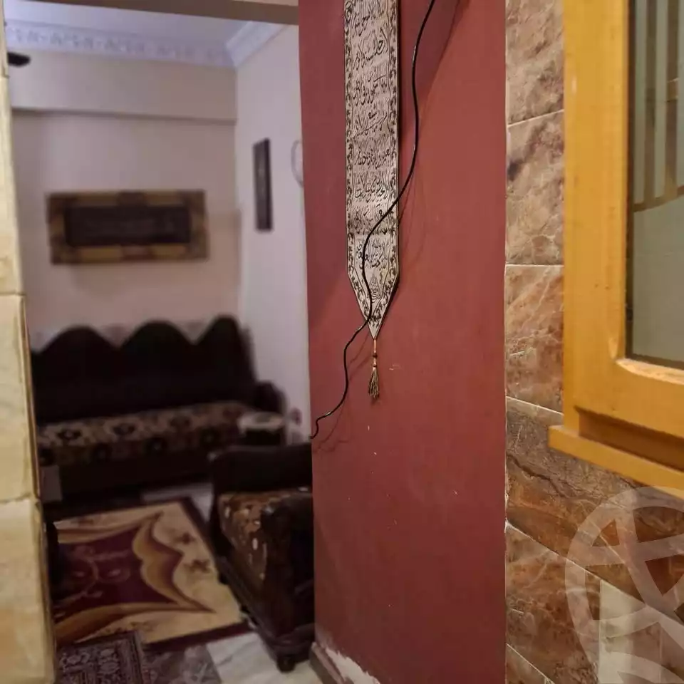 https://aqarmap.com.eg/en/listing/6514655-for-sale-alexandria-l-jmy-lbytsh-al-kaada-st