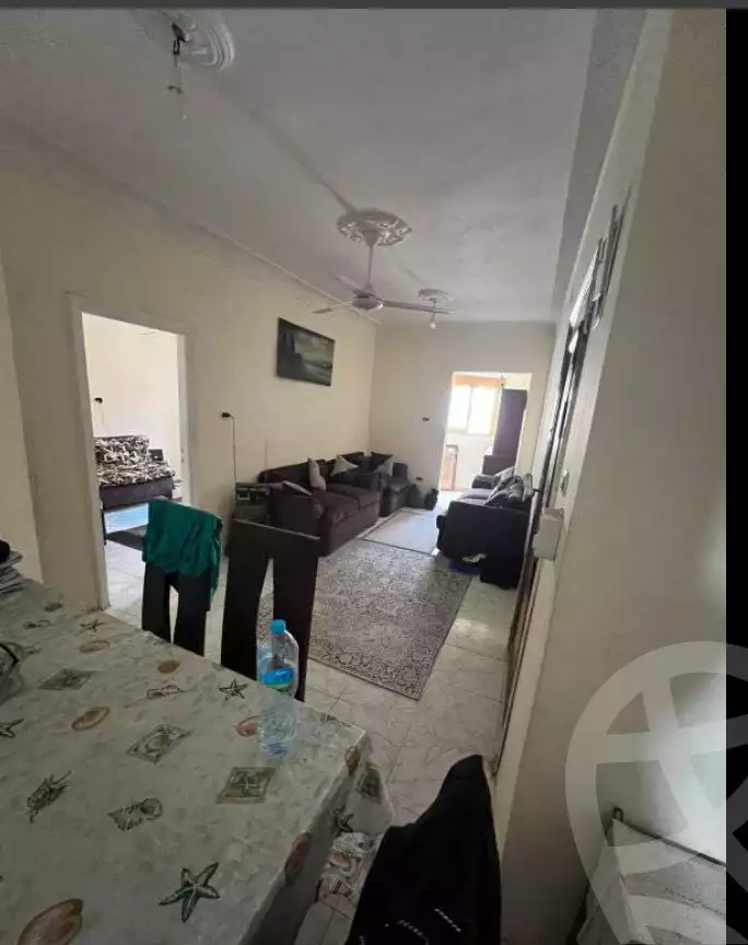 https://aqarmap.com.eg/ar/listing/6518263-for-sale-alexandria-l-jmy-lbytsh-al-samalehy-2-st