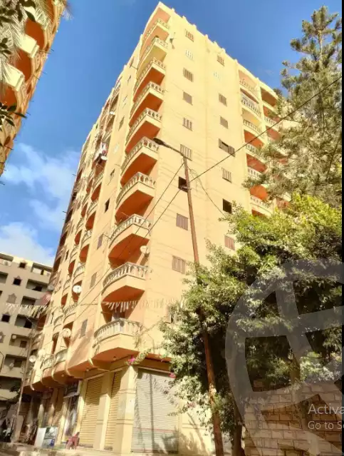 https://aqarmap.com.eg/ar/listing/6519861-for-sale-alexandria-l-jmy-el-hanouvel