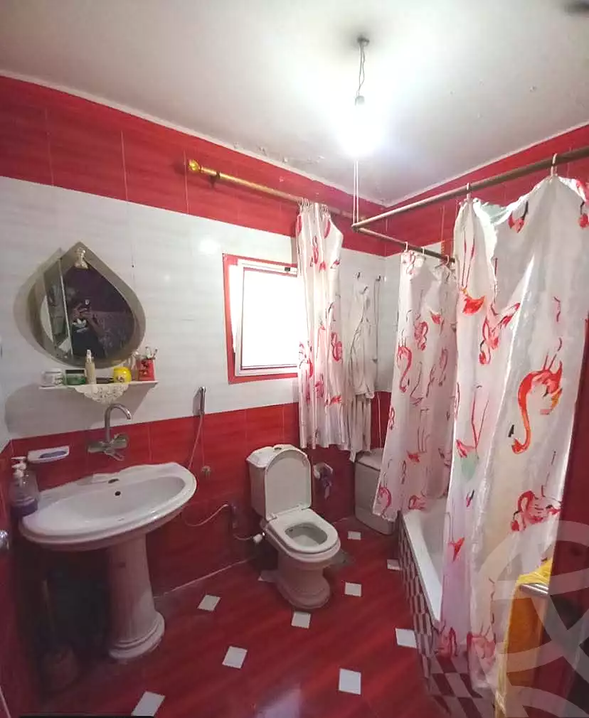 https://aqarmap.com.eg/en/listing/6524292-for-sale-alexandria-l-jmy-lbytsh-qased-kareem-st