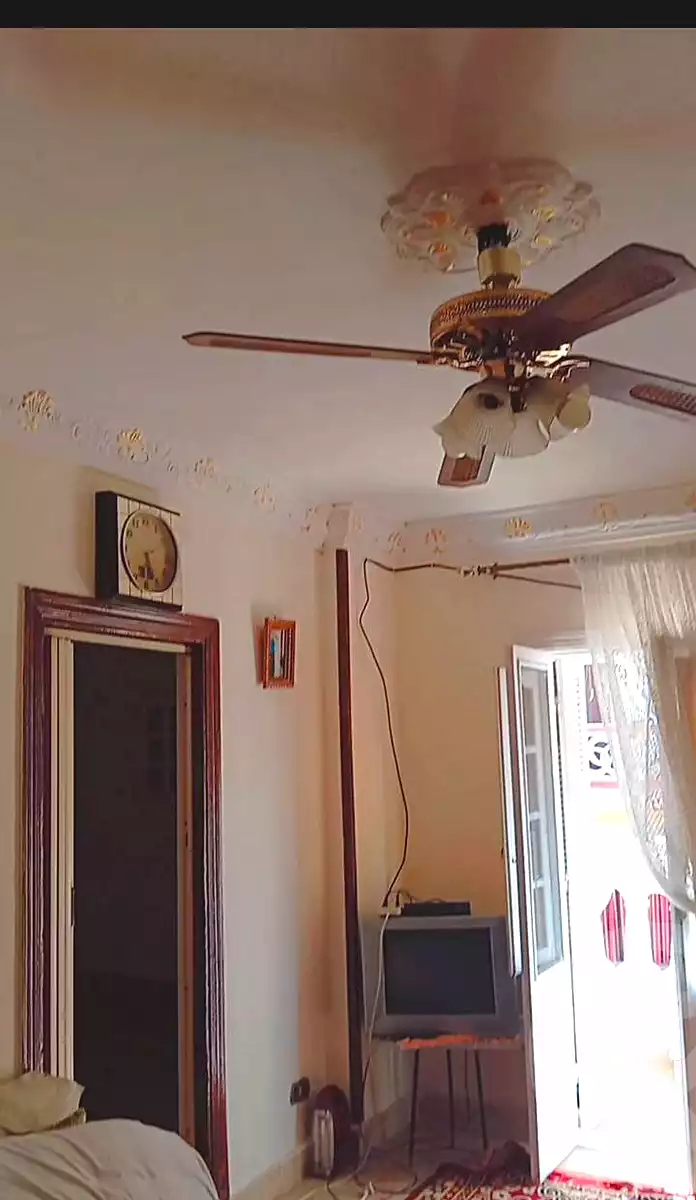 https://aqarmap.com.eg/en/listing/6528431-for-sale-alexandria-l-jmy-el-hanouvel