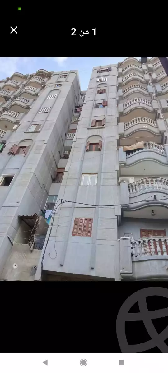 https://aqarmap.com.eg/ar/listing/6531463-for-sale-alexandria-l-jmy-lbytsh-al-samalehy-2-st